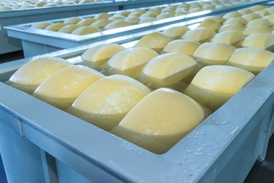 Suur osa eesti piimatöötlejaid ja juustumeistreid on oma hariduse saanud Õisust.