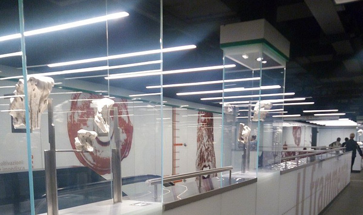 Arheoloogiliste leidude muuseum Rooma metroo C-liini San Giovanni jaamas (Foto: Wikimedia Commons / Giorgio Pietrocola)