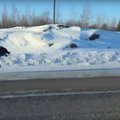 Kullafondi VIDEO | Haruldane vaatepilt: naine filmis kahte massiivset hunti täiskiirusel tema auto kõrval jooksmas