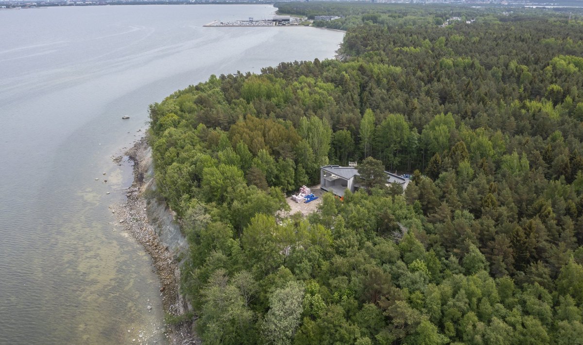 Tänane Eesti Ekspress kirjutas, kuidas Tallinki direktor ärritas oma villat Kakumäe metsa ehitades valet inimest.