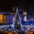 ФОТО. Вильнюс снова удивил: на главной площади литовской столицы установили оригинальную рождественскую елку