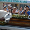 Ka loomad leinavad: hobune jätab matusel südamlikult hüvasti oma parima sõbraga