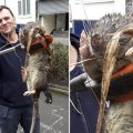FOTO: Londoni mänguväljakult leiti hirmuäratav "koerasuurune" rott