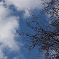 VIDEO | Lummavad, rahustavad ja imekaunid kaadrid! Vaata, kuidas tuleb kevad Viimsi poolsaarele