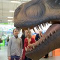 Juba nädala pärast! Tänavusele Tourestile tuleb põnevaid reisisihtkohti tutvustama ligi 500 eksponenti 32 riigist