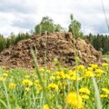Süsinikusõda maa sees: mulda aitavad parandada biopreparaadid