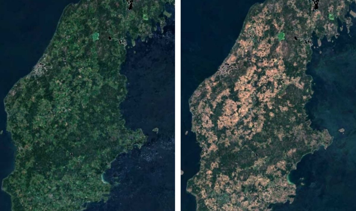 Gotland aastatel 2017 ja 2018
