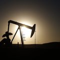 Nafta hind kukkus viie aasta madalaimale tasemele
