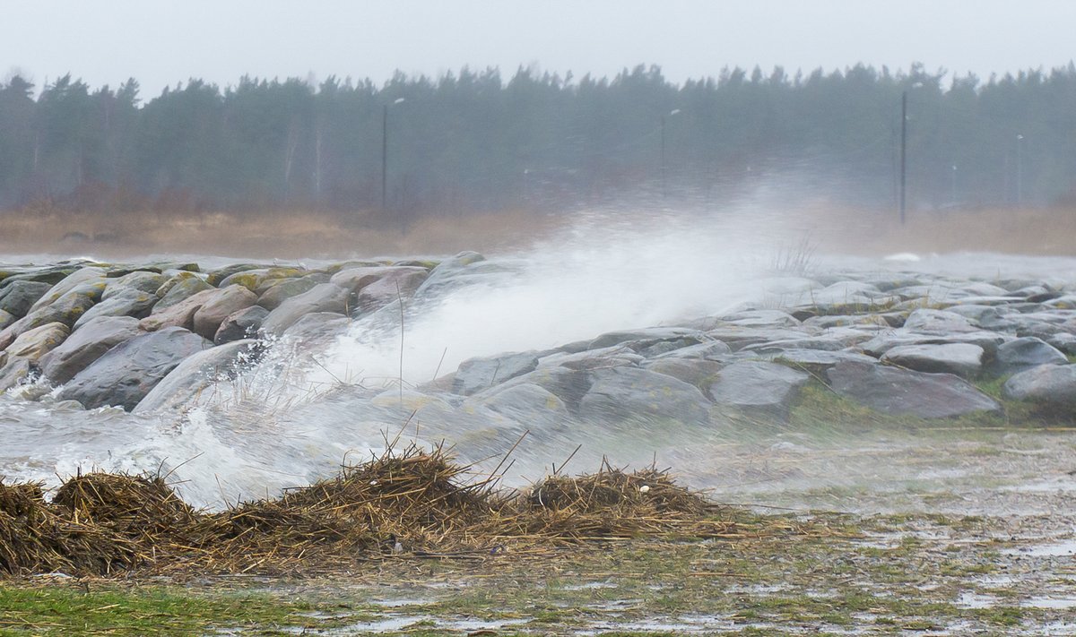 Torm Saaremaal, kõre veetase, tugev tuul
