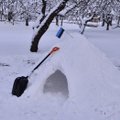 KASUTA TALVE: prügikottide ja lumelabidaga saab teha ägeda lumeonni
