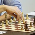 Эстония разгромила Гамбию и Палестину на Шахматной Олимпиаде