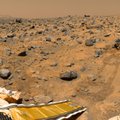 DARPA loob tehisorganisme, et Marsi pinnast elukõlbulikumaks muuta