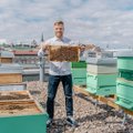 LHV peab pangahoone katusel 300 000 mesilast