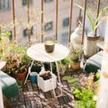 ФОТО | Идеально на время самоизоляции! Как преобразить захламленный балкон в уютное место для отдыха