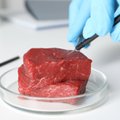 Itaalia plaanib rahvustoidu kaitseks ära keelata laboris kasvatatud liha