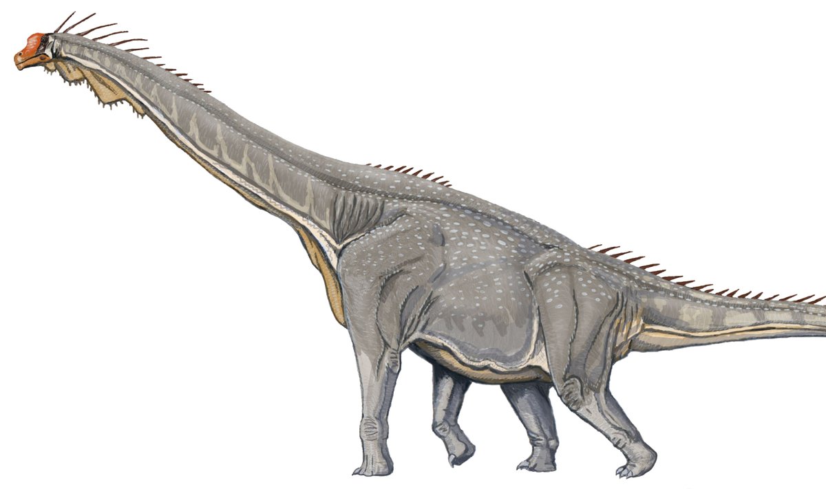 Brahhiosauruse rekonstruktsioon
