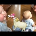 VIDEO: Hirnu herneks! Beebi naerab nagu väike lammas