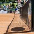 VIKTORIIN | Viimase „Kõva kärbse“ podcasti küsimused. Testi oma teadmisi ja võrdle neid saates käinud tenniseekspertidega!