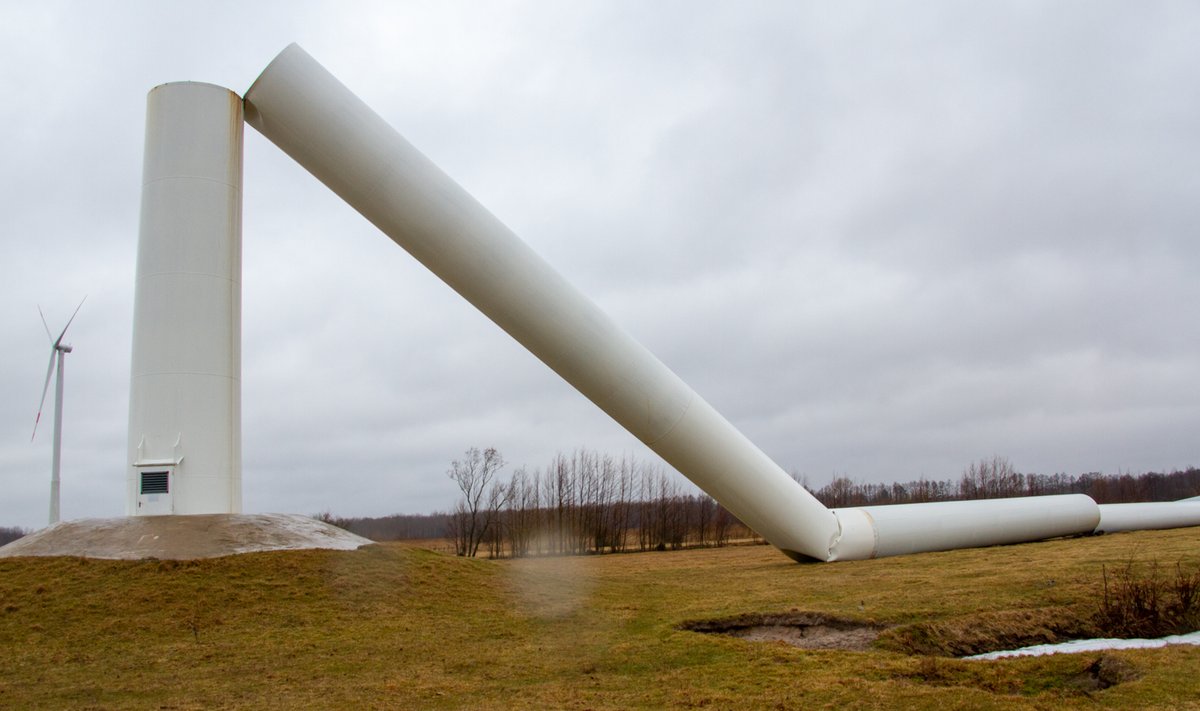 Tuugen, elektrituulik Salmel, Sõnajalg