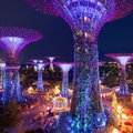 ФОТО: Сингапурский вариант "Рождественской страны чудес"