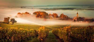 Maailma ühe olulisema veinipiirkonnana naudib Bordeaux praegu oma populaarsuse tippu.