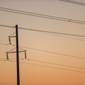 ГРАФИК | Биржевая стоимость электроэнергии завтра будет самой низкой за всю неделю