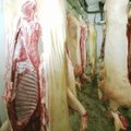 Мясокомбинат Saaremaa Lihatööstus в целях экономии остановил на три месяца работу скотобойни