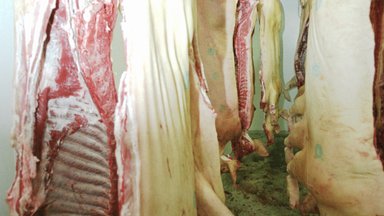 Saaremaa Lihatööstus peatas kulude kokkuhoiuks kolmeks kuuks tapamaja töö 