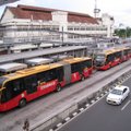 Taavi Aas: buss või tramm? On veel parem lahendus – metroobuss!