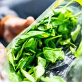 Tuletame meelde: imelihtne nipp, kuidas hoida salatit kauem värskena