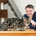 Antti Kammiste: olen eluaeg arvanud, et kass peab majas olema