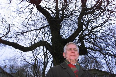 Keskkonnakaitsja Andres Tarand 2009. aastal Süda tänava hõlmikpuu juures.