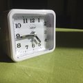 Lugeja: ööinimeste jutt on jama, isegi nädalavahetusel tuleks tõusta hiljemalt kell 8!