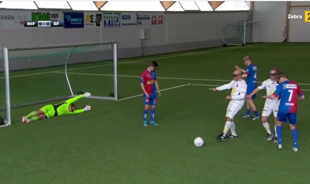 LAHE VIDEO: Linnulennult jalgpall on võimatu! - Delfi Sport