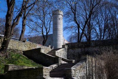 Hirvepargi trepp