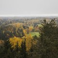 Avalik pöördumine: Eestile seatud metsanduse eesmärk ei käi üle jõu. See on kasulik, õiglane ja jõukohane