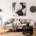 Kuidas oma kodust või toast imelisi fotosid teha? 