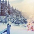 Mis toimub Soome energiafirma jõulutervitusvideos? Tuumaplahvatus?