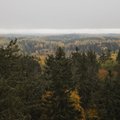 Metsanduse esindajad pahandavad: metsanduse arengukava on aegunud ja puudulik