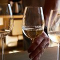 Таллиннцев приглашают на дегустацию вин Chardonnay с ужином в стиле “джапанди”