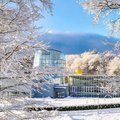 Tallinna botaanikaaed tähistab 1. detsembril oma 61. sünnipäeva töötubade, ekskursioonide ja 1-eurose piletiga