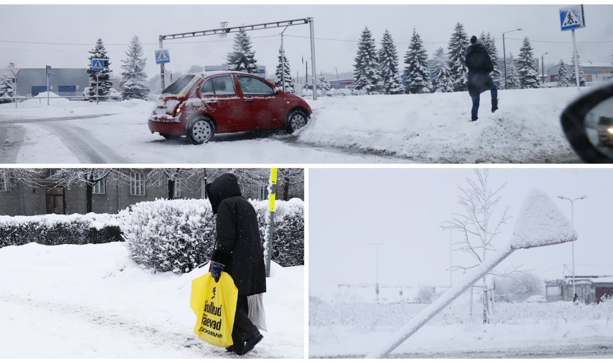 Pilt pealinna tänavail on huvitav: liiklusmärgid lume alla mattumas ning autod plekki mõlkimas.