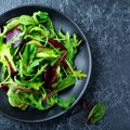Geniaalne salatikaste, mis pani toidumaailma kihama! Rohelise salati lehed pole enam iial igavad