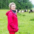 Kriisiajal piimatootmise lõpetanud lehmapidajad taasalustada ei julge