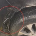 ВИДЕО | У преступников появился новый способ быстрого угона Toyota Land Cruiser 