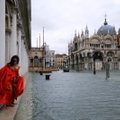 ФОТО | Возвращение "высокой воды": Венецию снова затопило
