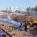 Uuring: puidutööstus on Eesti kaasaegseim tööstusharu, aga vaevleb tööjõupuuduses