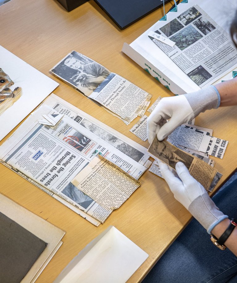 Loodusmuuseumi kogude spetsialist Leida Ojasoo töötab eestlasest lendoravauurija arhiivi materjalidega, mis jõudsid kodumaale pärast teadlase surma