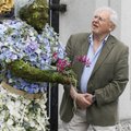 Sir David Attenborough: üle pika aja tunnen end meie planeedi tuleviku osas positiivselt