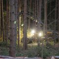 VASTUKAJA | Ökoloogid ja jurist: metsatöösturid eksivad. Eesti metsalindudel ei lähe hästi ja raierahu nõudmine pole ametnike omavoli